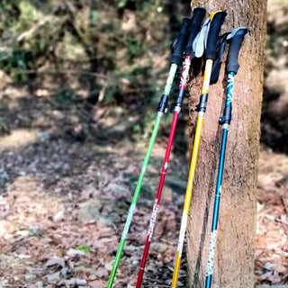 Bâton de randonnée pliable à 5 sections